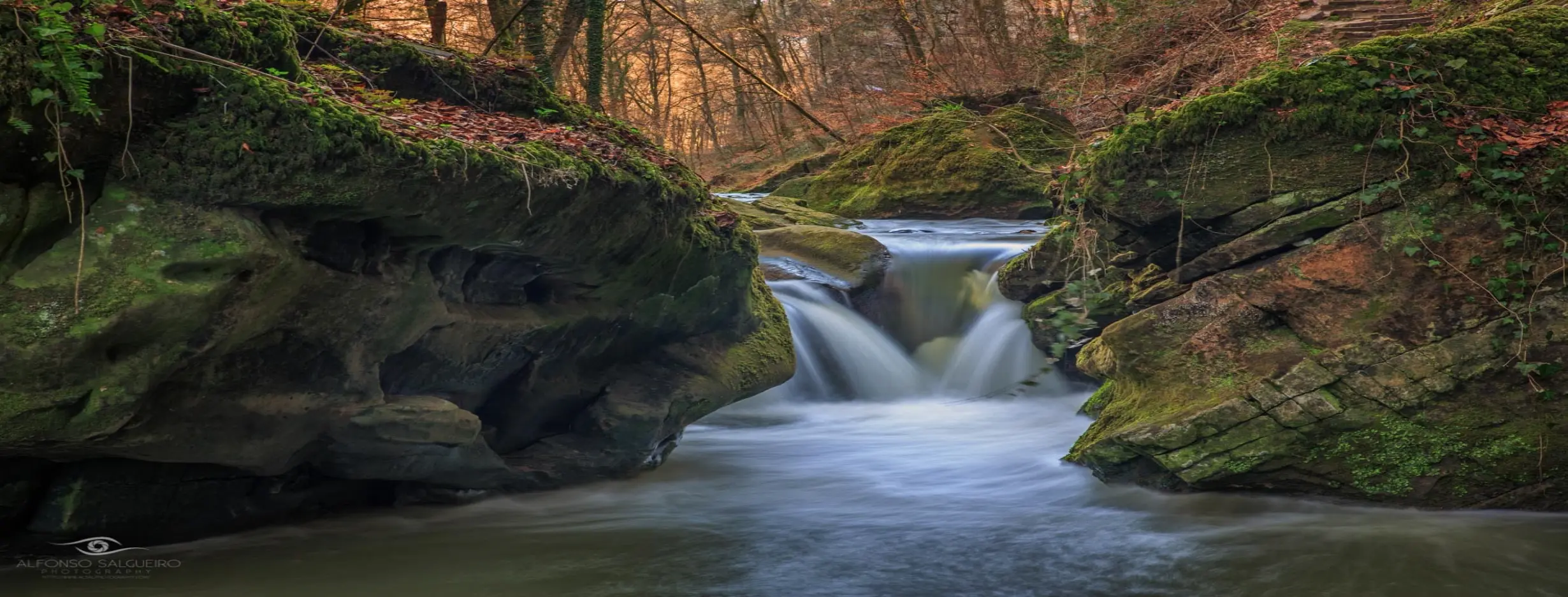 Image for Explore Mullerthal Region